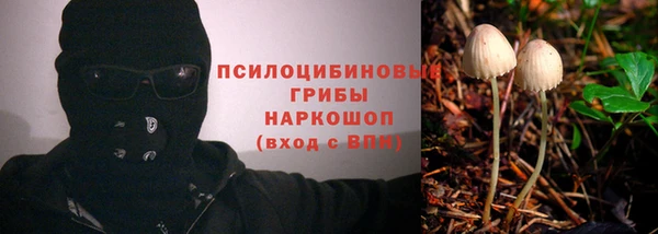 гашик Балабаново