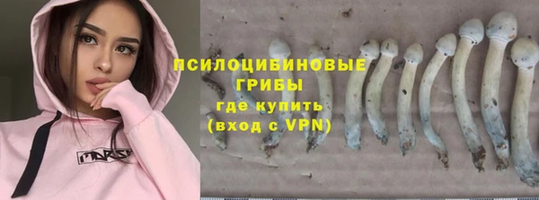mdpv Арсеньев