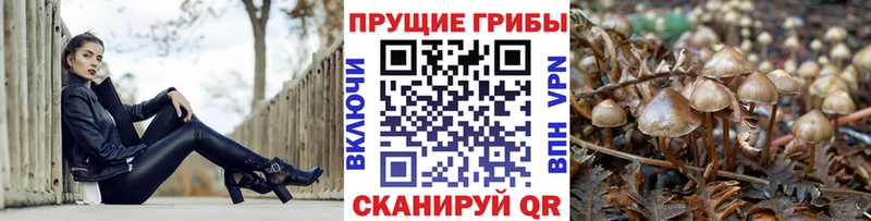 Псилоцибиновые грибы мицелий Алушта