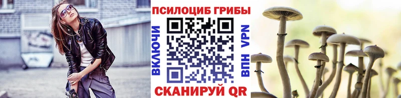 Галлюциногенные грибы прущие грибы  Купить закладки  Алушта 